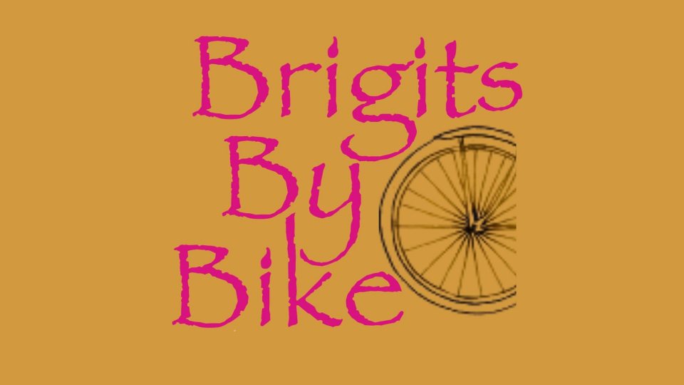 By bike sales